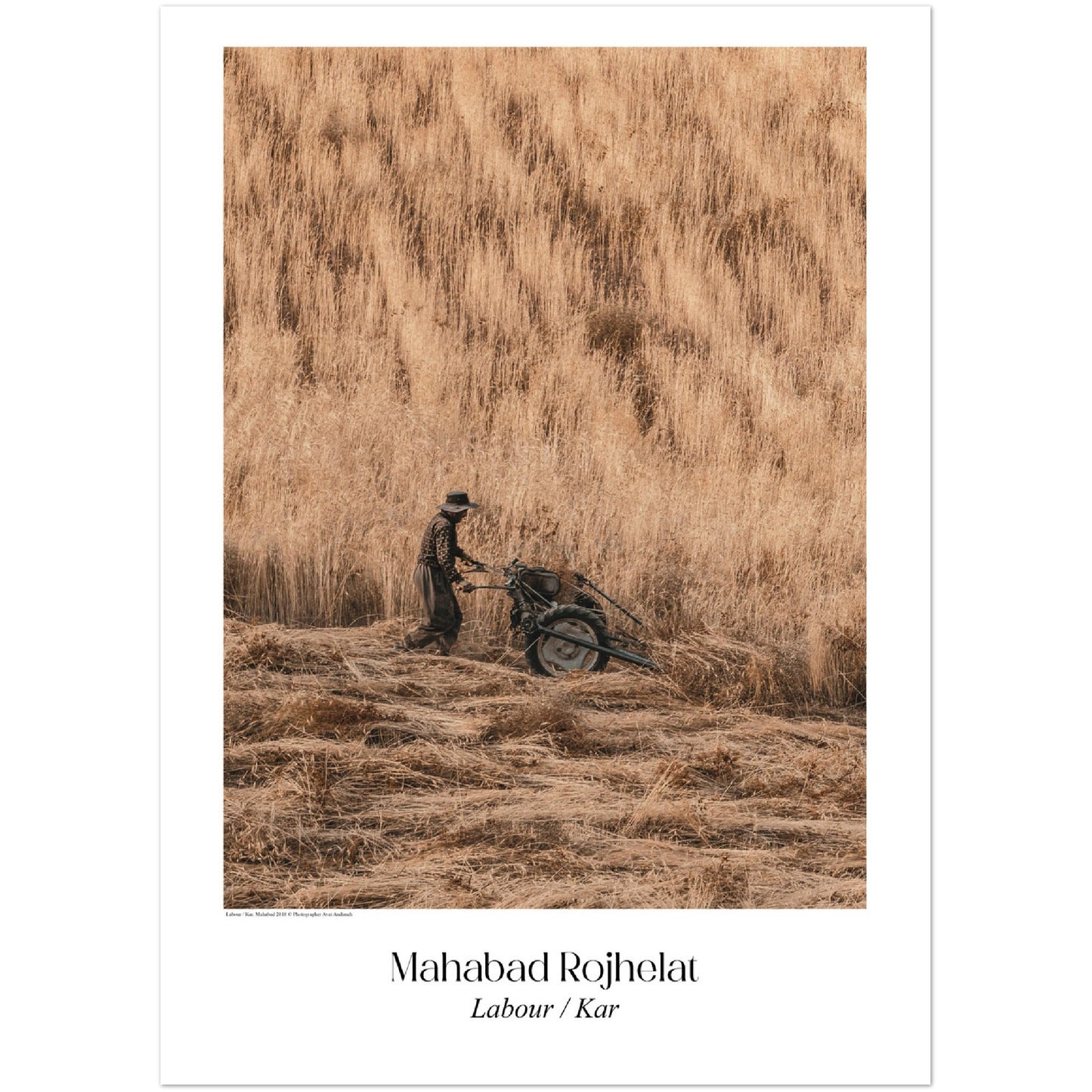 Kar / Labour - big border