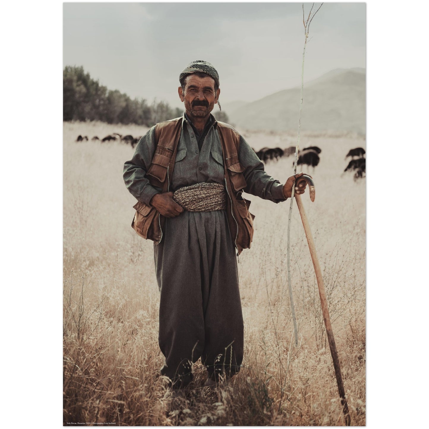 Xala Shwan - no border