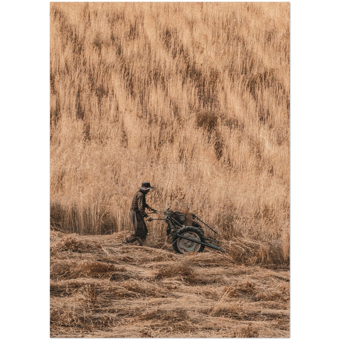 Kar / Labour - no border